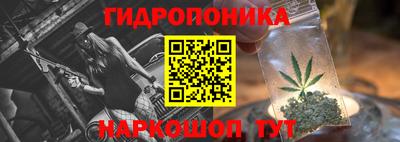 СК Канаш